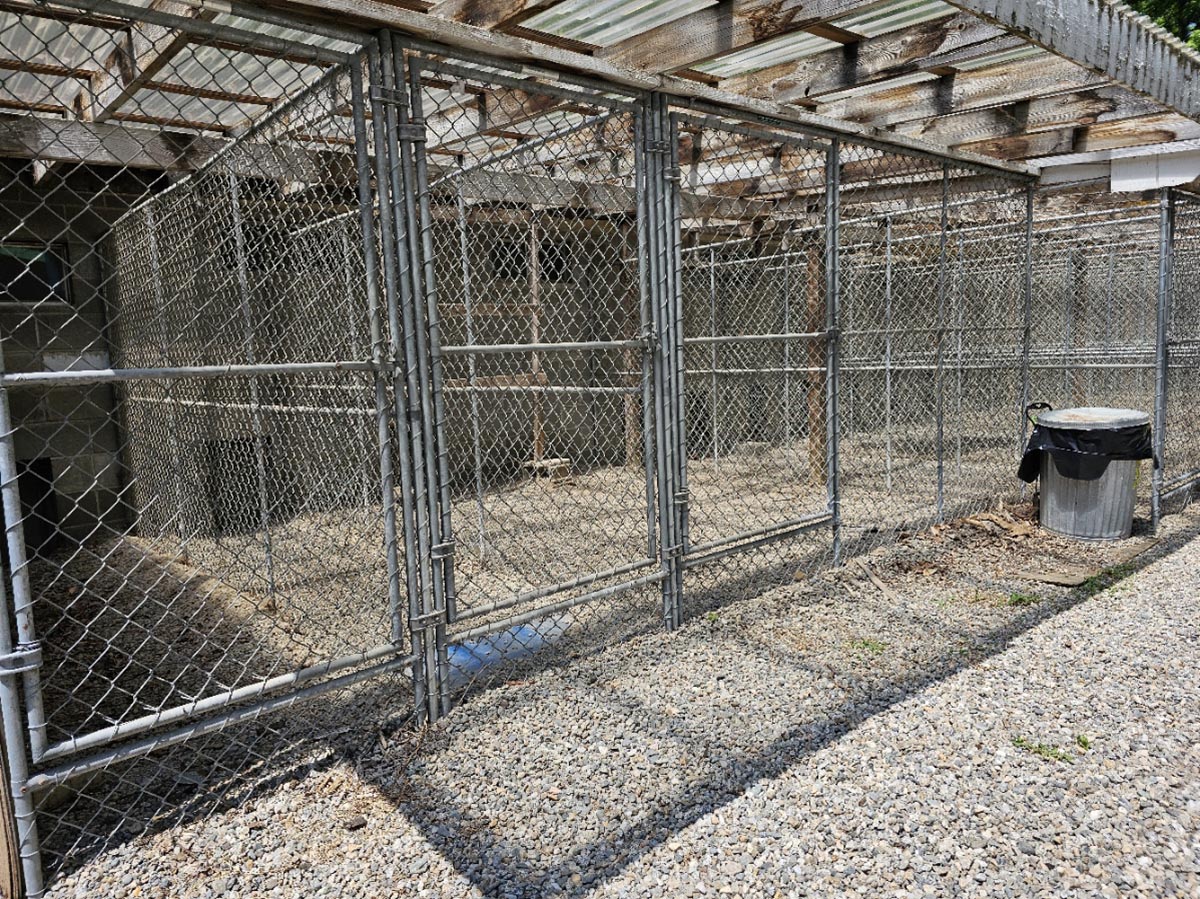 No-Contact Kennels